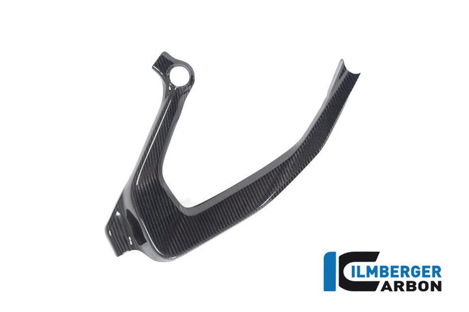 Ilmberger Carbon Frame Cover (Right Hand Gloss)