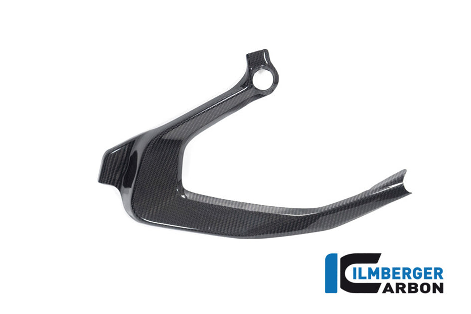 Ilmberger Carbon Frame Cover (Right Hand Gloss)