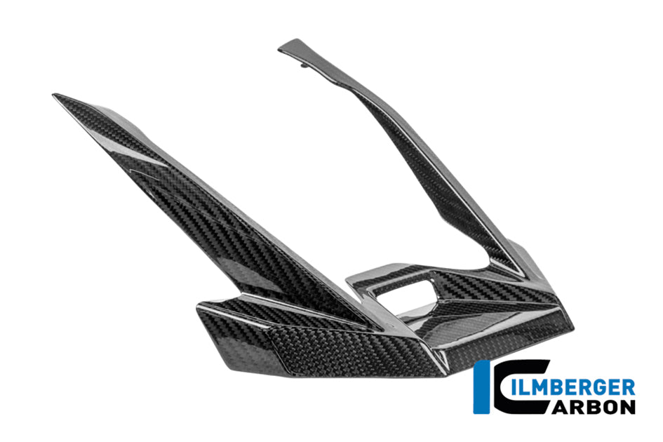 Ilmberger Carbon Beak Extension (Gloss)