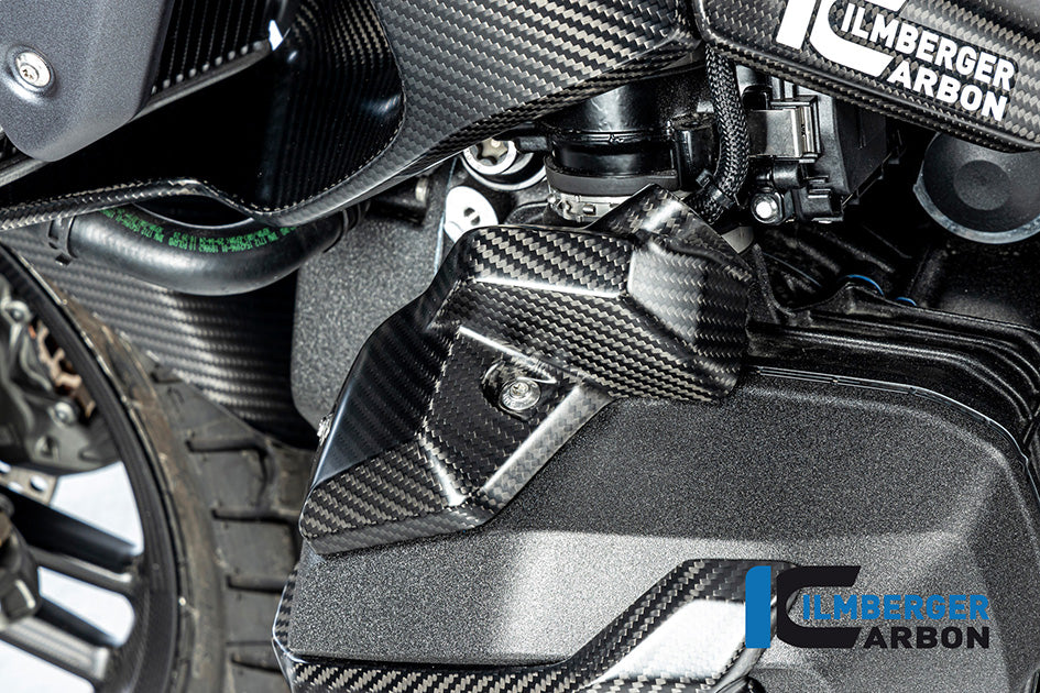 Ilmberger Carbon Injector Cover (Left Hand Matt)