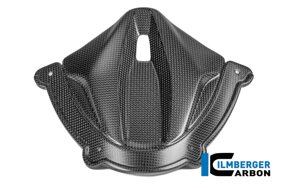 Ilmberger Carbon Instrument cover (Matt) - (V4 / S / R Models)