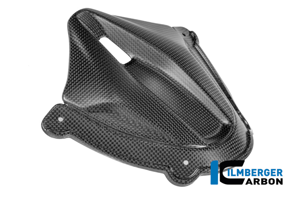 Ilmberger Carbon Instrument cover (Matt) - (V4 / S / R Models)