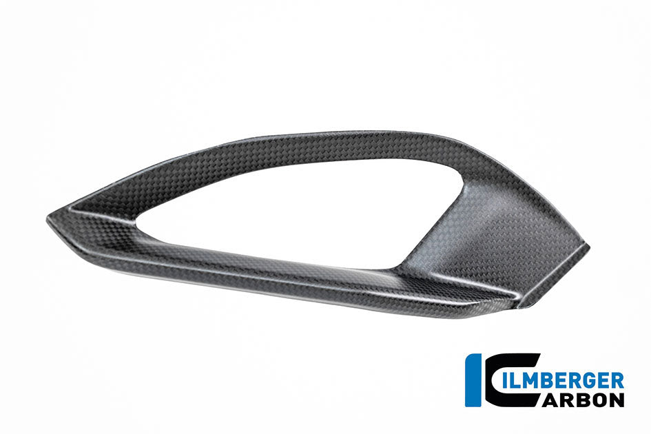 Ilmberger Carbon Beak Left (Matt) - Compatible with all model variants