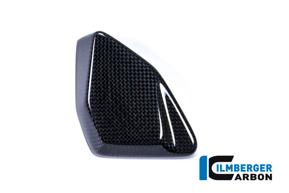 Ilmberger Carbon Cover ESA Box