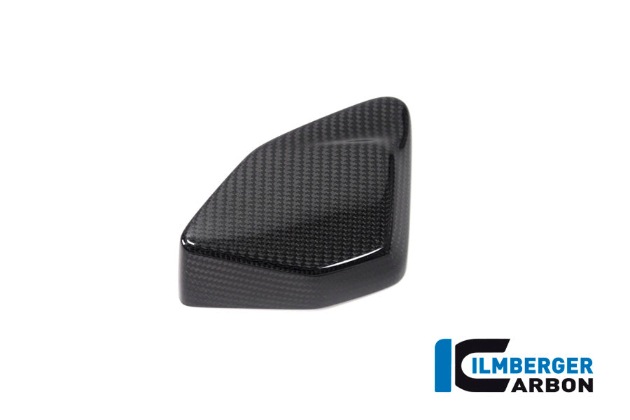Ilmberger Carbon ESA Box Cover