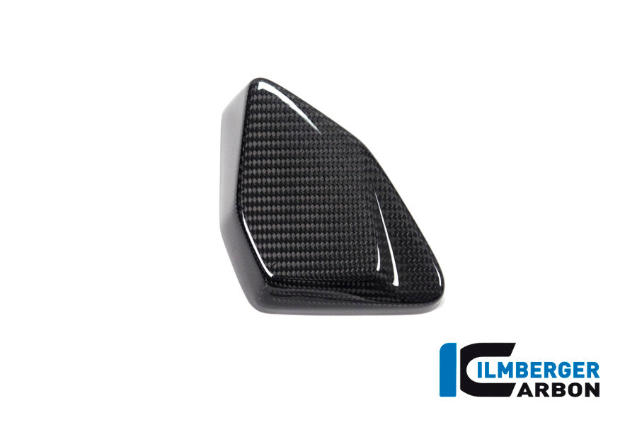 Ilmberger Carbon ESA Box Cover