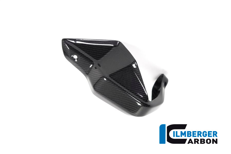 Ilmberger Carbon Hand Protector (Left)