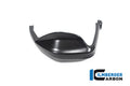 Ilmberger Carbon Hand Protector Left (Matt) - Compatible with all model variants