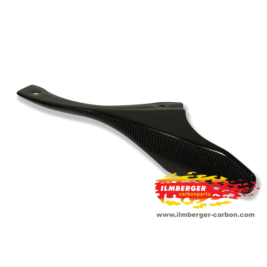 Ilmberger Carbon Chain Guard (on the Swingarm)