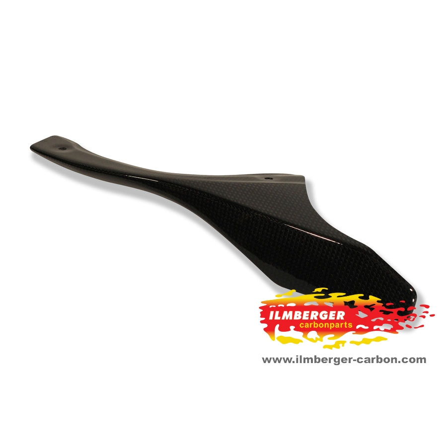 Ilmberger Carbon Chain Guard (on the Swingarm)