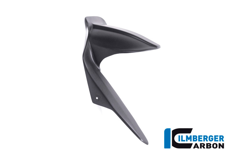 Ilmberger Carbon Rear Fender - Matt