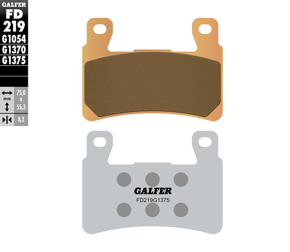 Galfer Front Speed Kit (pads & discs) – Honda CBR900RR Fireblade 1998–1999