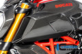 Ilmberger Carbon Airtube Cover Left Side - Gloss Finish