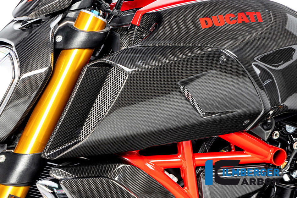 Ilmberger Carbon Airtube Cover Left Side - Gloss Finish
