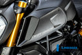 Ilmberger Carbon Airtube Cover Left Side - Matt Finish