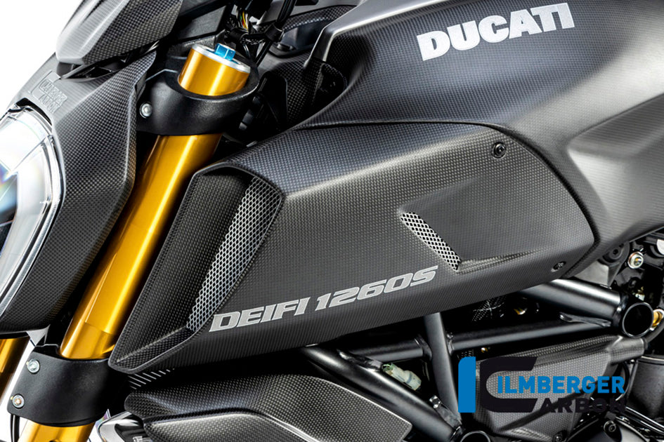 Ilmberger Carbon Airtube Cover Left Side - Matt Finish