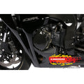 Ilmberger Carbon Alternator Cover Protection – Honda CBR1000RR Fireblade 2008–2009 / Honda CBR1000RR Fireblade ABS 2009