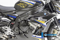 Ilmberger Carbon Frame cover (right side)