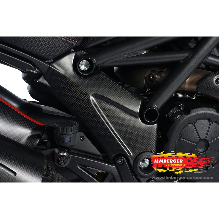 Ilmberger Carbon Frame Cover Right side - (Matt Finish)