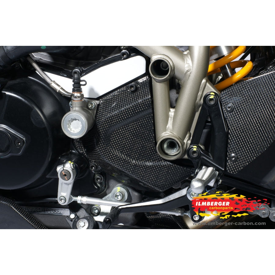 Ilmberger Carbon Front Sprocket Cover (RIO-010-STRFI-K)
