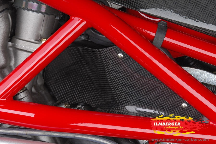 Ilmberger Carbon Heated Air Flap
