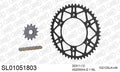 AFAM MX Racing GP Chain & Self CleaningSuperlight Steel Sprocket Kit, 520 (OE Pitch) - Gold 116 link MX Racing GP chain, 13T steel/48T Steel