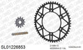 AFAM MX Racing GP Chain & Self CleaningSuperlight Steel Sprocket Kit, 520 (OE Pitch) - Gold 114 link MX Racing GP chain, 13T steel/51T Steel