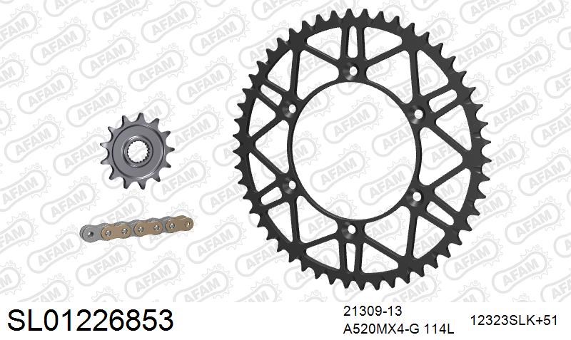 AFAM MX Racing GP Chain & Self CleaningSuperlight Steel Sprocket Kit, 520 (OE Pitch) - Gold 114 link MX Racing GP chain, 13T steel/51T Steel