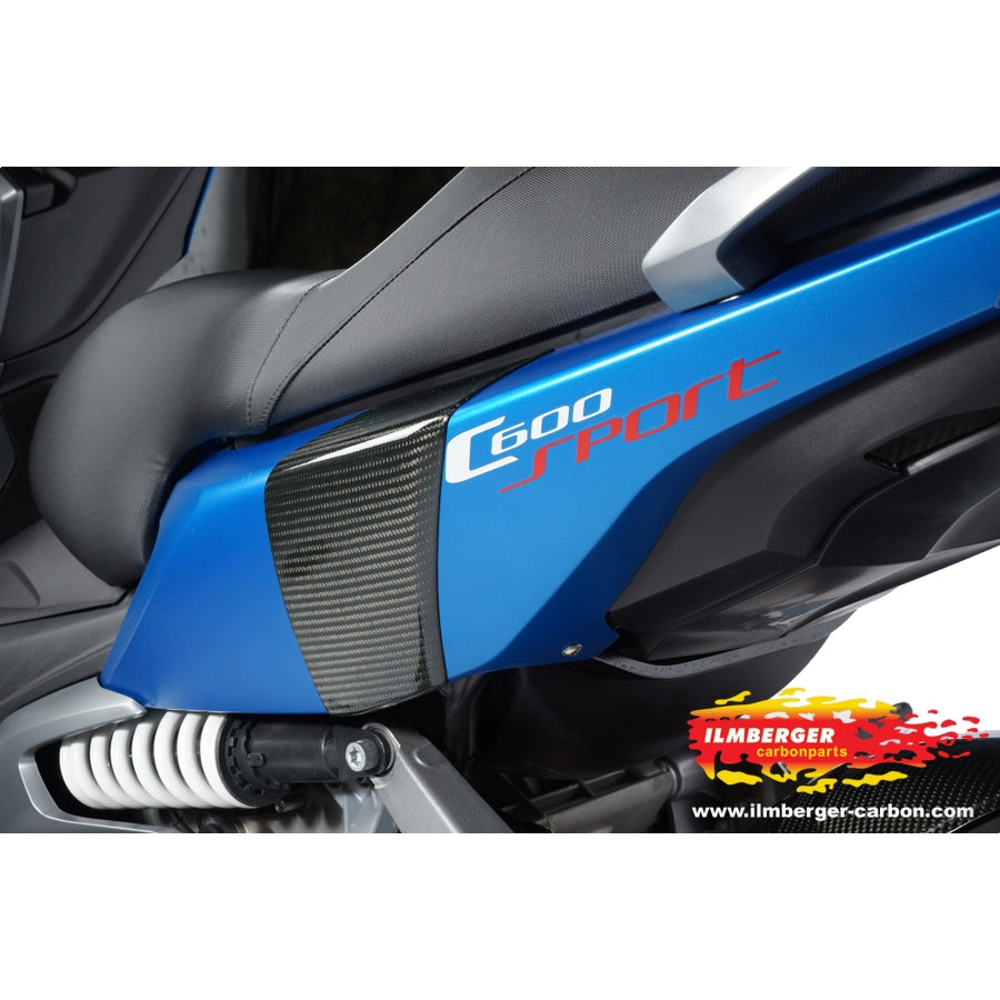 Ilmberger Carbon Crashpads rear Set