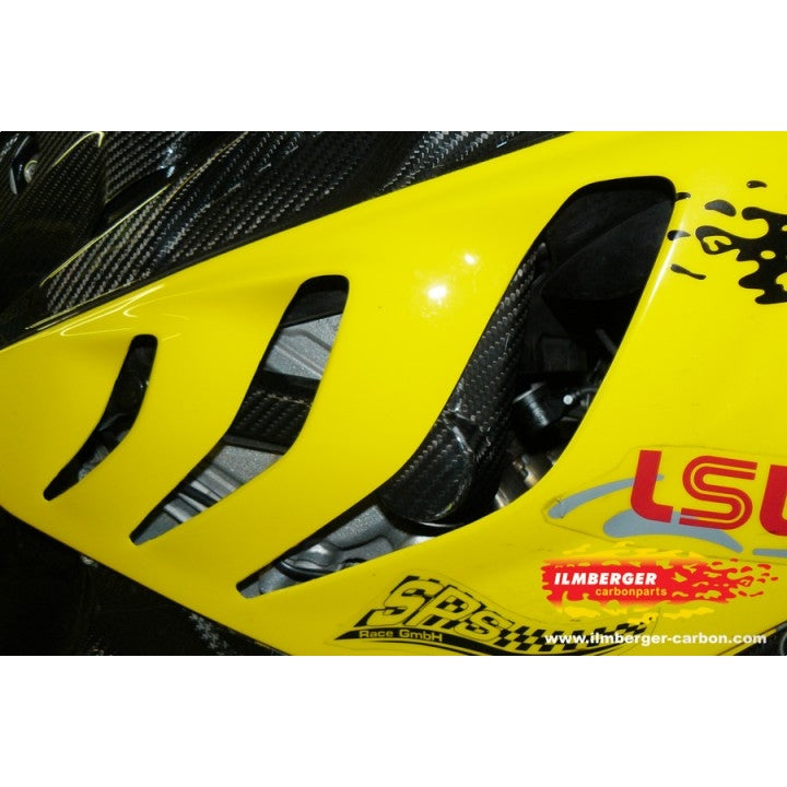 Ilmberger Carbon Crashpad on the Frame Right