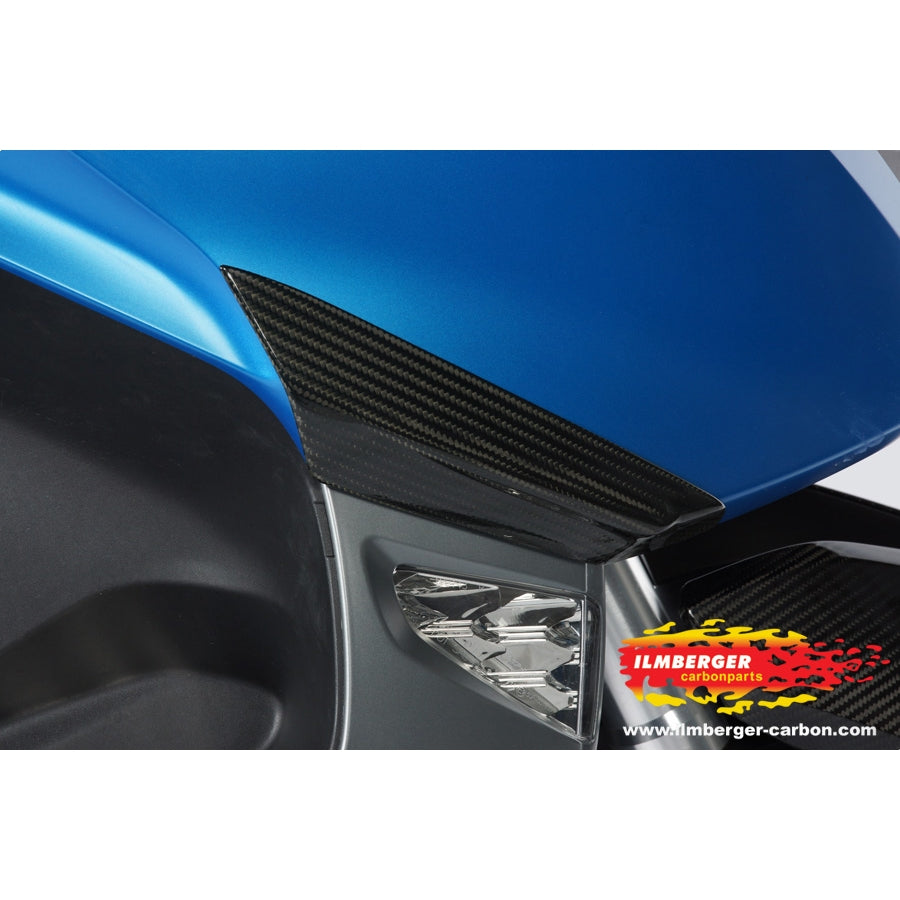 Ilmberger Carbon Crashpads front Set