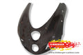 Ilmberger Carbon Front Fairing (Endurance)