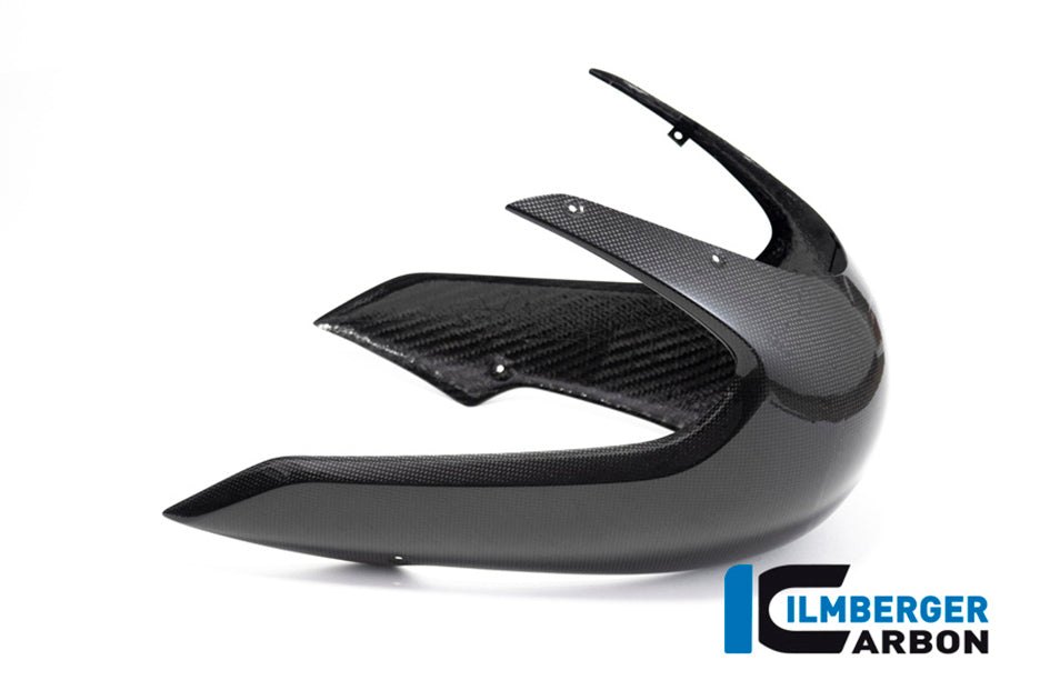 Ilmberger Carbon Front Fairing Racing
