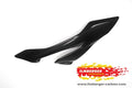 Ilmberger Carbon Fairing Side Panel (right side)