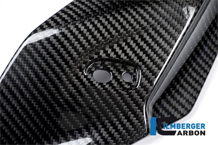 Ilmberger Carbon Headlight Side Panel (Left)