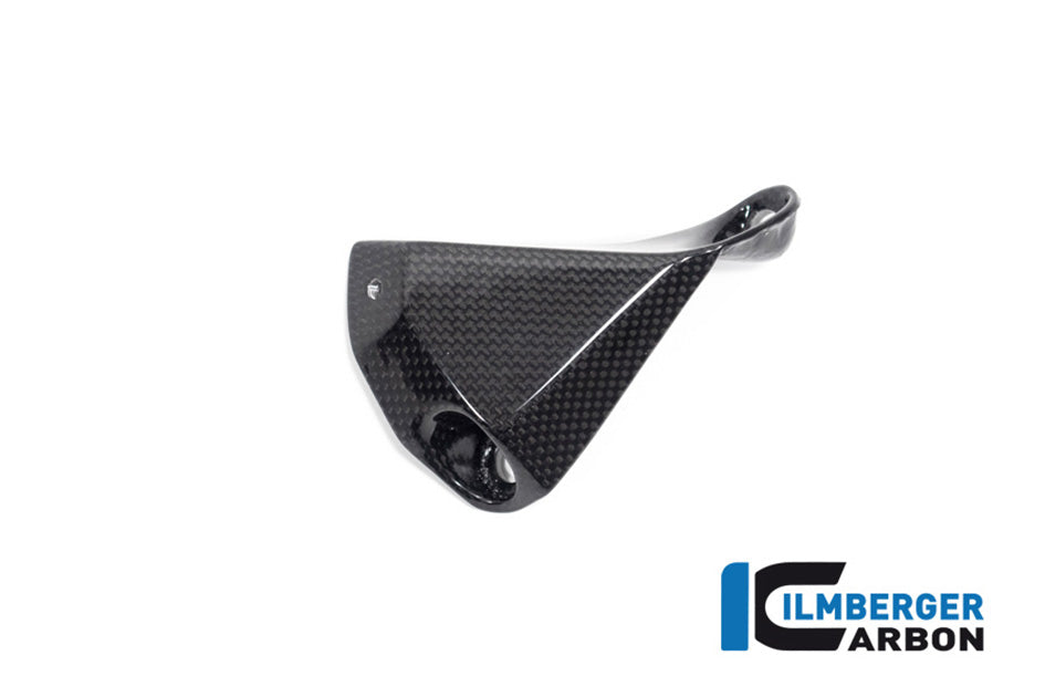 Ilmberger Carbon Belly Pan Left Hand Side (Gloss Finish)