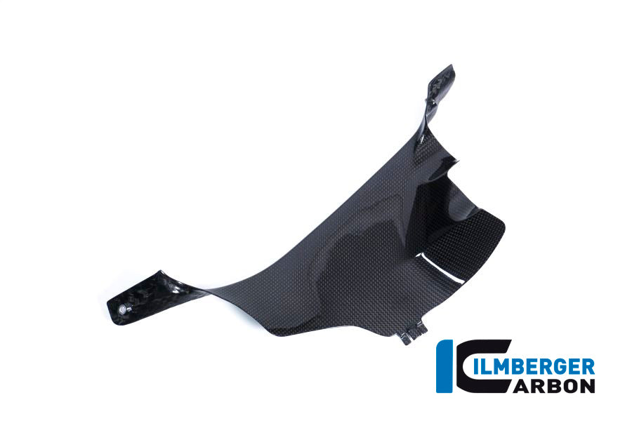 Ilmberger Carbon Air Tube Cover (Left) - Gloss Finish - (V4 / S & R Models)