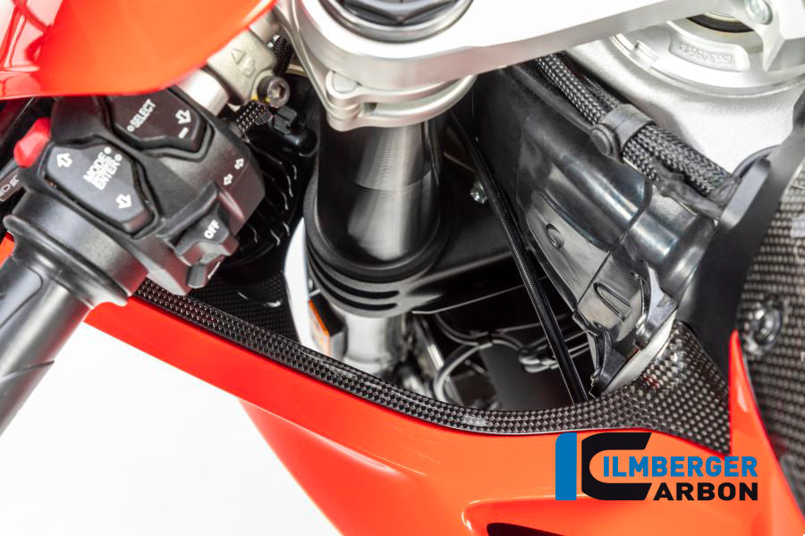 Ilmberger Carbon Air Tube Cover (Left) - Gloss Finish - (V4 / S & R Models)