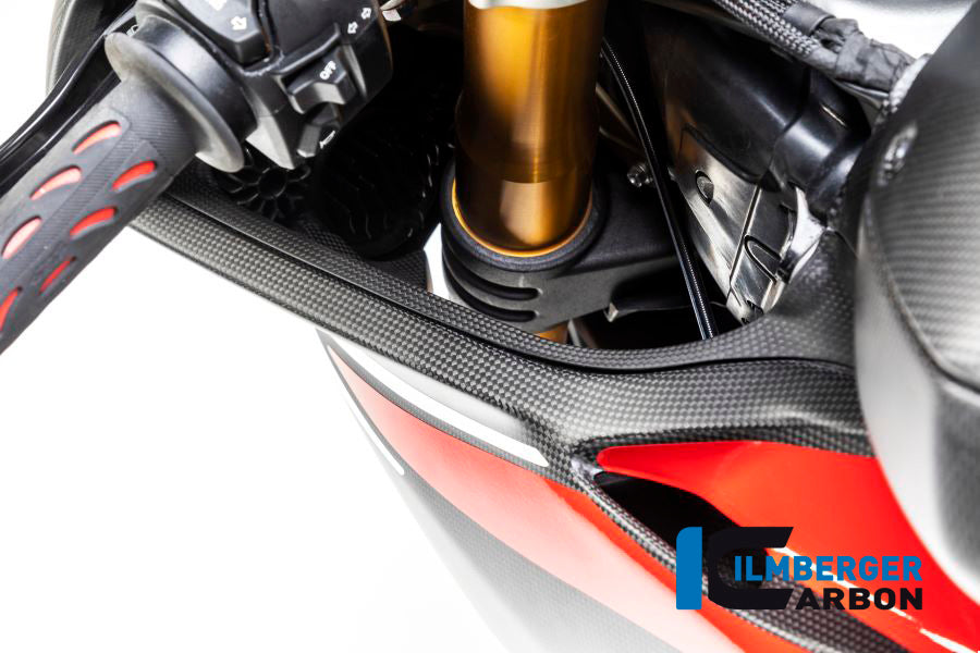 Ilmberger Carbon Air Tube Cover (Left) - Matt Finish - (V4 / S & R Models)