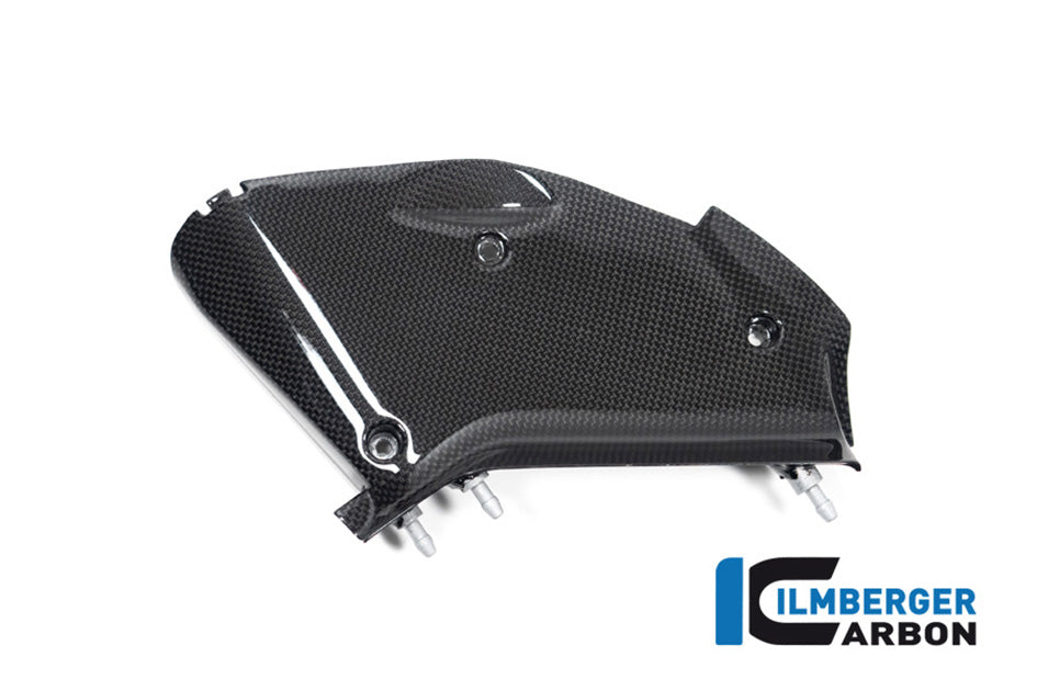 Ilmberger Carbon Inner AirTube Cover RH (Gloss Finish)