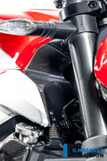 Ilmberger Carbon Airtube Cover RH (Gloss Finish)