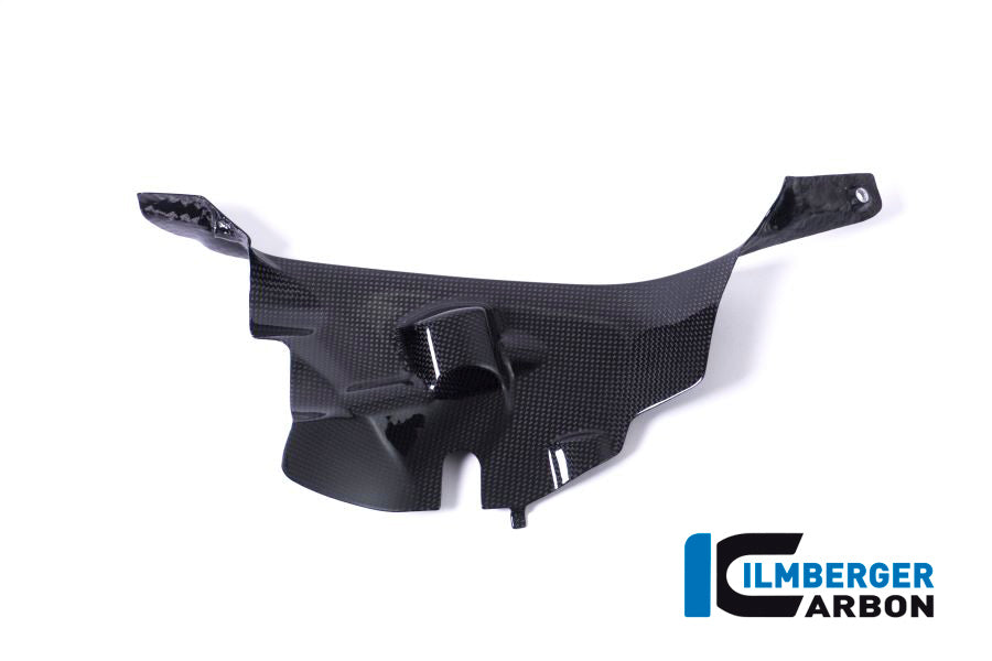 Ilmberger Carbon Air Tube Cover (Right) - Gloss Finish - (V4 / S & R Models)