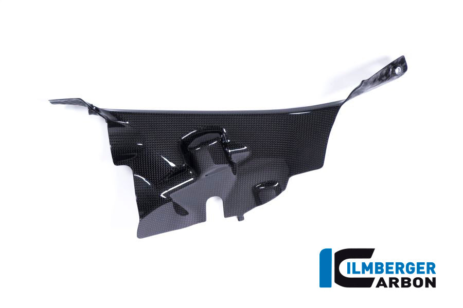 Ilmberger Carbon Air Tube Cover (Right) - Gloss Finish - (V4 / S & R Models)
