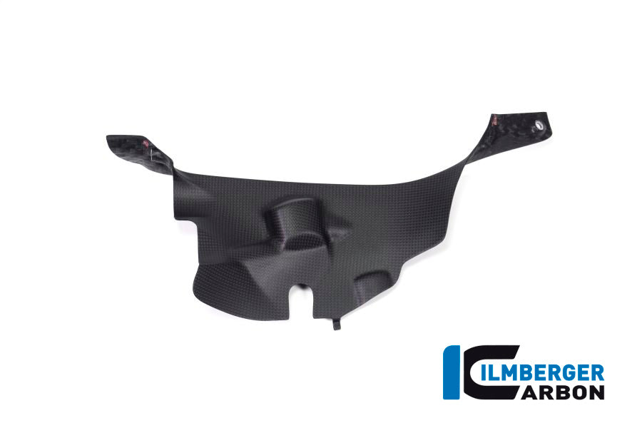Ilmberger Carbon Air Tube Cover (Right) - Matt Finish - (V4 / S & R Models)