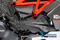 Ilmberger Carbon Cambeltcover Horizontal Cylinder - Gloss Finish