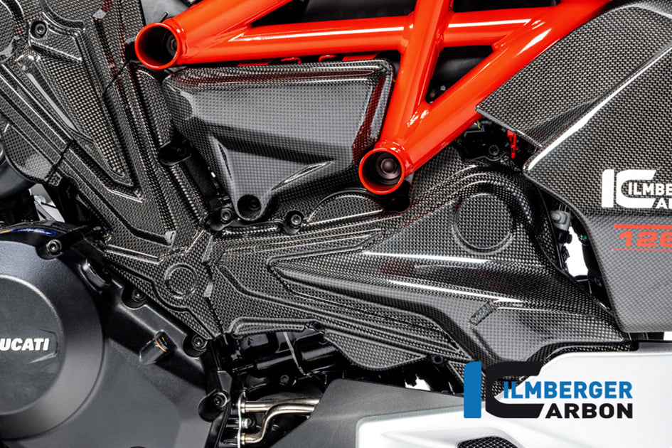 Ilmberger Carbon Cambeltcover Horizontal Cylinder - Gloss Finish