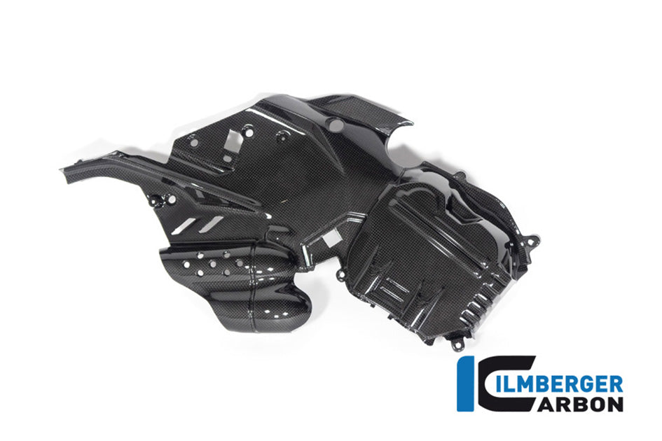 Ilmberger Carbon Cam Cover LH (Gloss Finish)