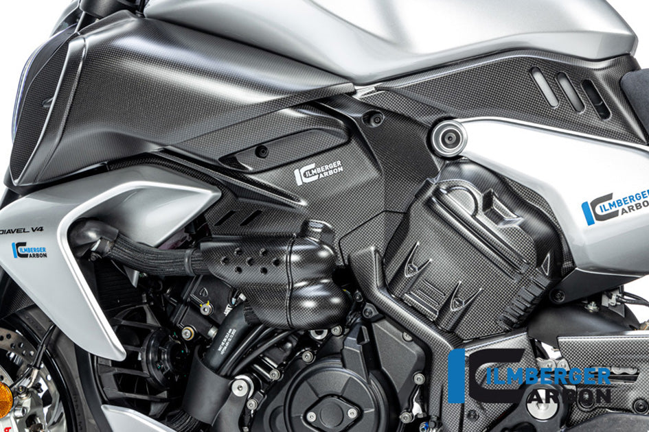Ilmberger Carbon Cam Cover LH (Matt Finish)