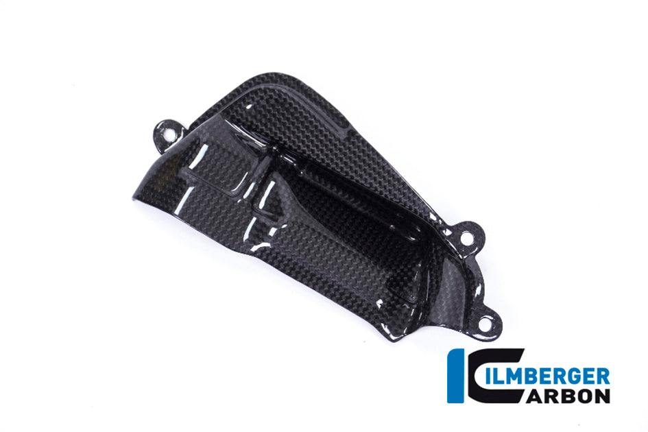 Ilmberger Carbon Cam Cover (Right) Side - Gloss Finish - (V4R Model Only)