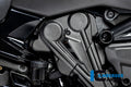 Ilmberger Carbon Cambeltcover Vertical Cylinder - Matt Finish